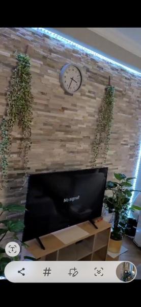 flat one bed Room